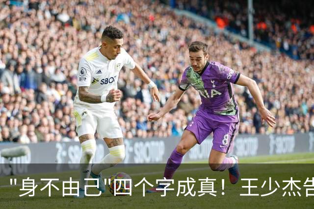 "身不由己"四个字成真！王少杰告别广东：租借两年终究是人家的