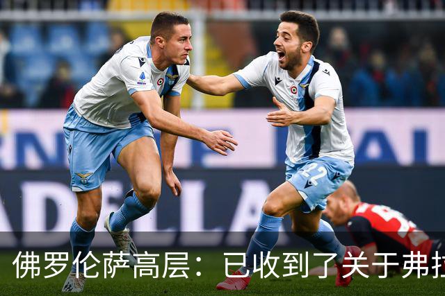 佛罗伦萨高层：已收到了关于弗拉霍维奇的报价